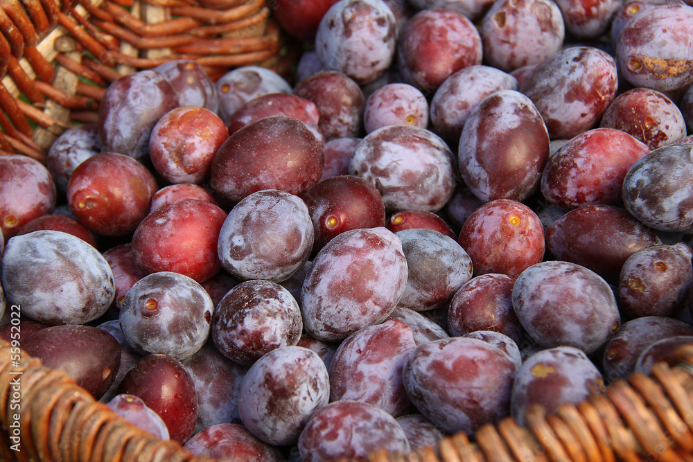 prunes prunes