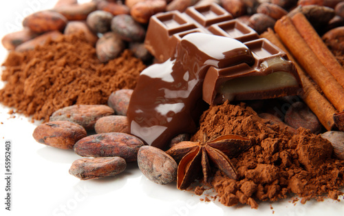Composition of chocolate sweets, cocoa and spices, isolated © Africa Studio