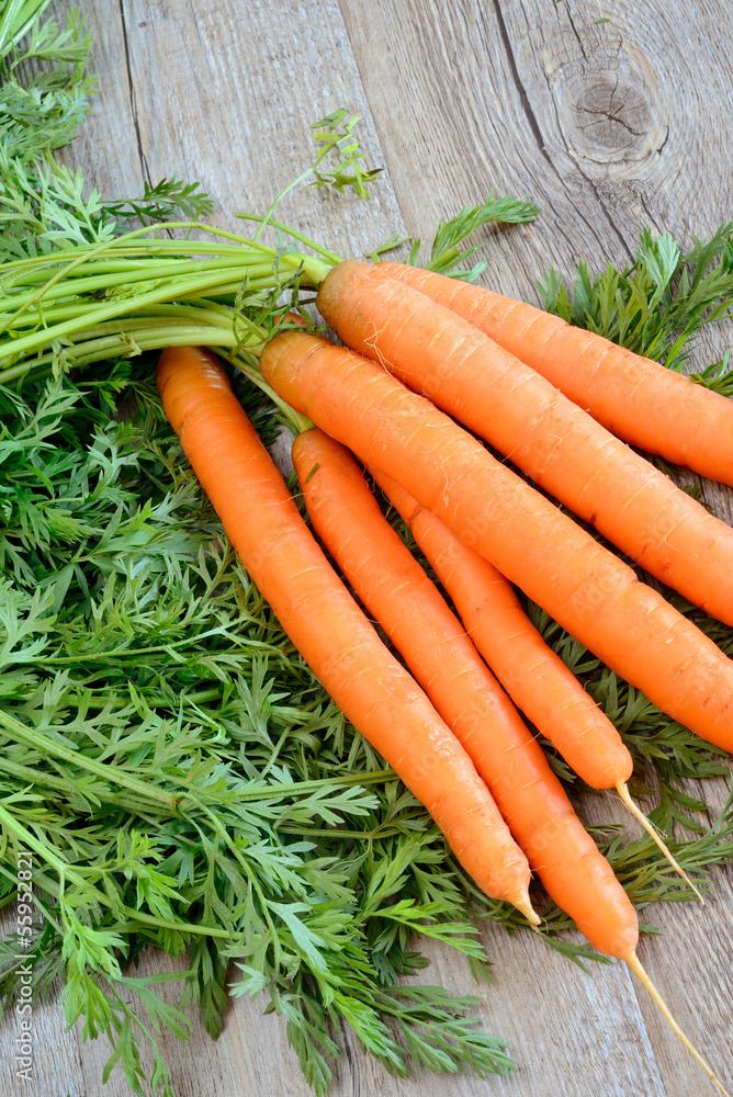 fresh carrots fresh carrots
