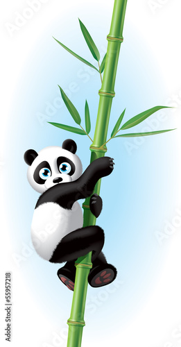 Fototapeta Naklejka Na Ścianę i Meble -  Panda illustration