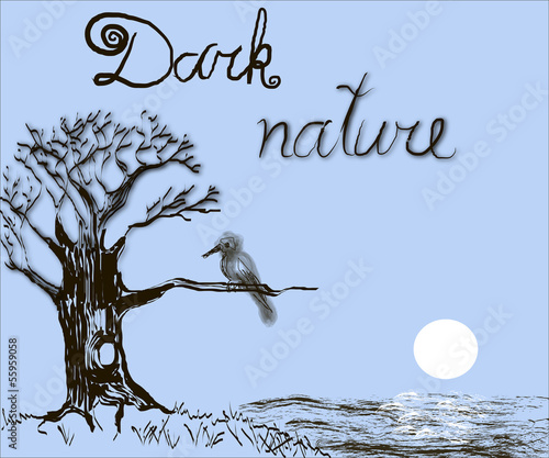 Dark nature