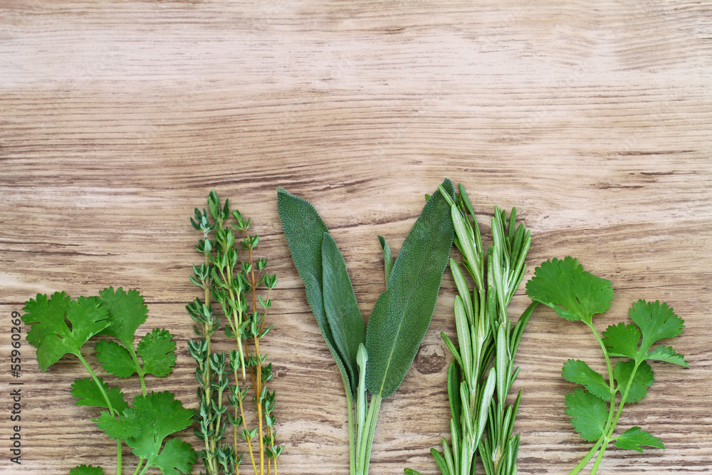 Fresh herbs on wooden surface with copy space Fresh herbs on wooden surface with copy space