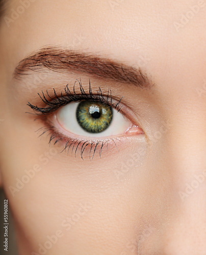 Macro green eye of beautiful woman. Closeup portrait