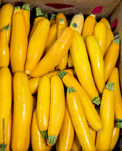 Fresh yellow squash in a carboard box photo