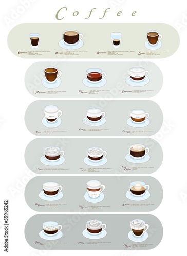 Different Type of Coffee Menu or Coffee Guide