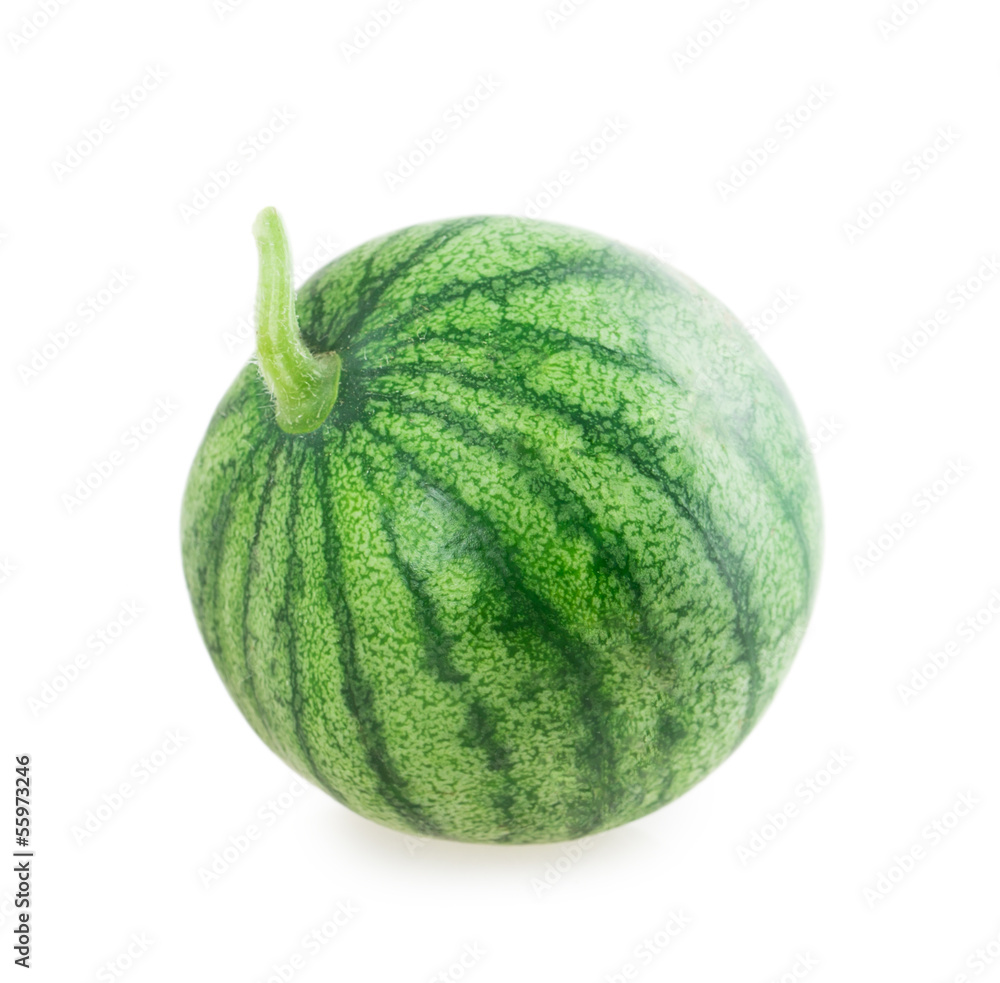 not ripe watermelon not ripe watermelon