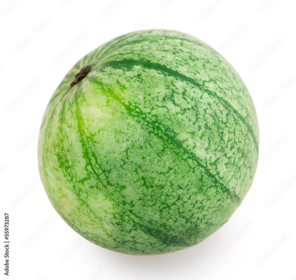 not ripe watermelon not ripe watermelon