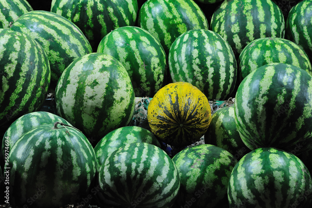 Watermelons with melon Watermelons with melon