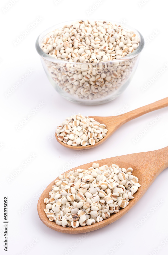 Millet Millet