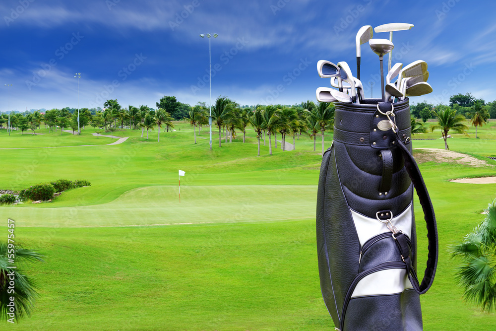 Golf course with plam tree and golf bag