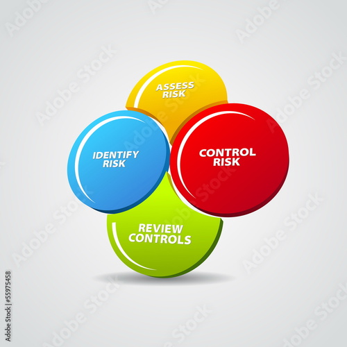 Vector Risk management process diagram schema