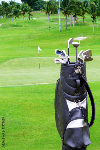 Golf bag with plam tree on golf course