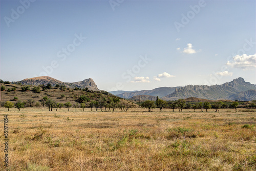 Steppe Landscape with Mountains