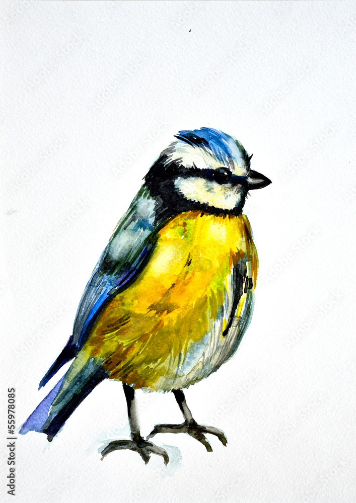 Fototapeta premium watercolor drawing of cute bird