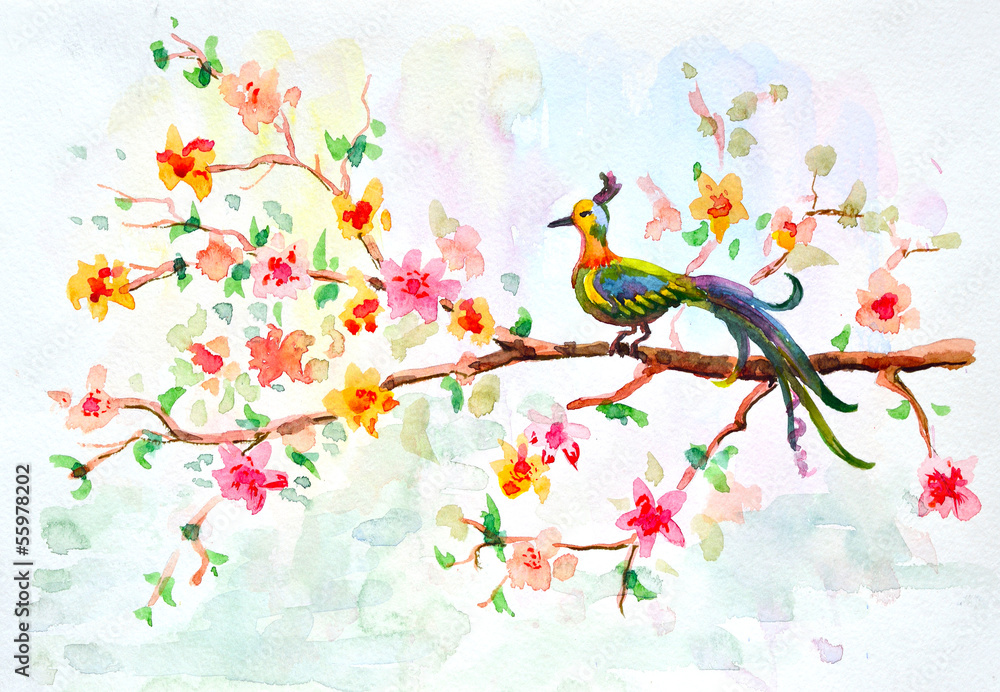 watercolor drawing of cute bird
