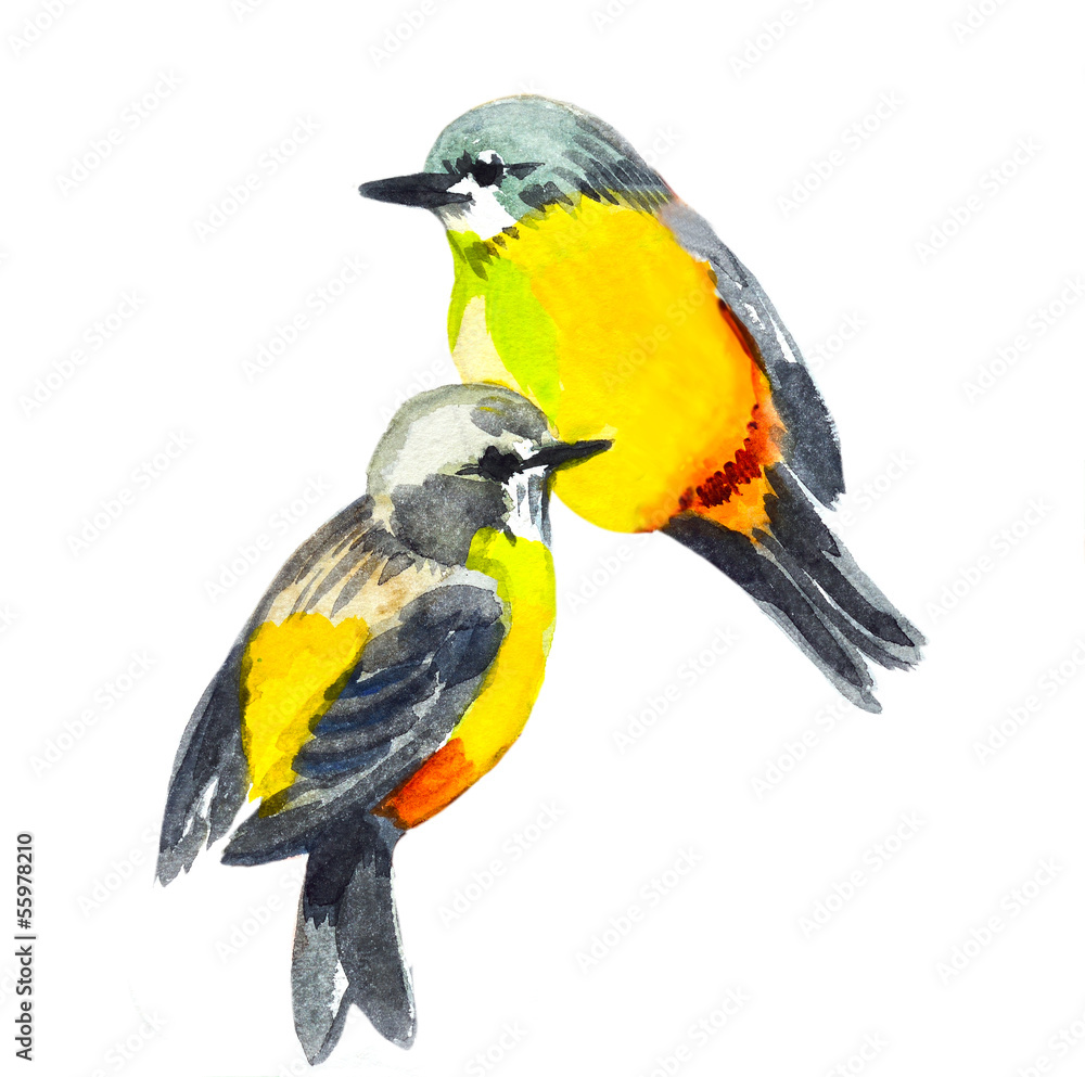 Obraz premium watercolor drawing of cute bird