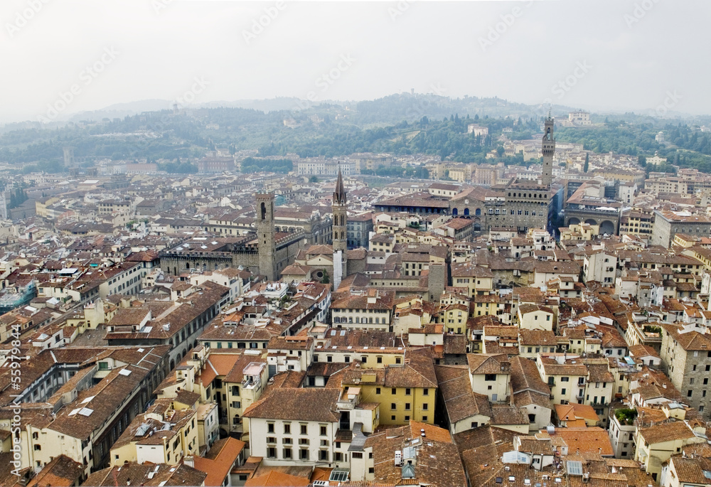 Florence panoramic view and The Palazzo Vecchio. Florence