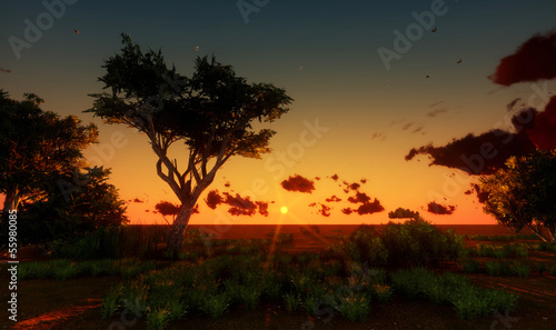 landscape  tree in sunset © Aomarch