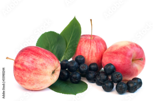 apples and chokeberry