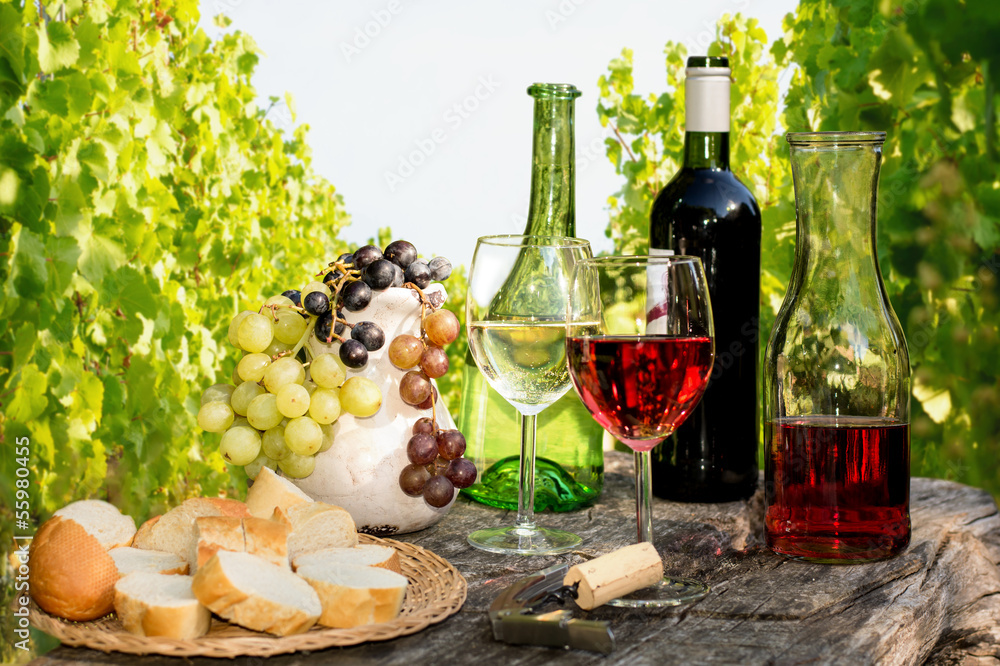 Weinverkostung im Weinberg foto de Stock | Adobe Stock