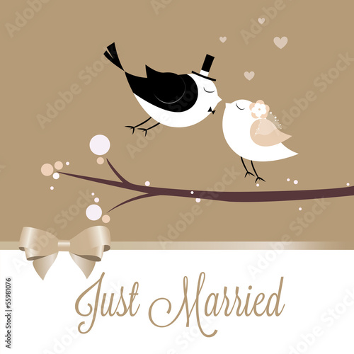 Just married birds