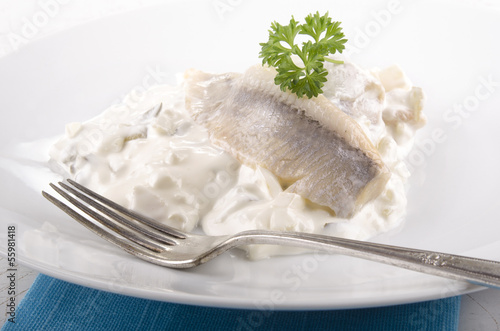 sour herring in a yoghurt sauce