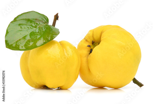 Ripe yellow quinces