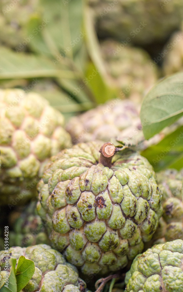 Obraz premium Custard apple