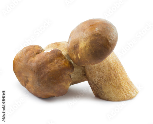 couple of mushrooms