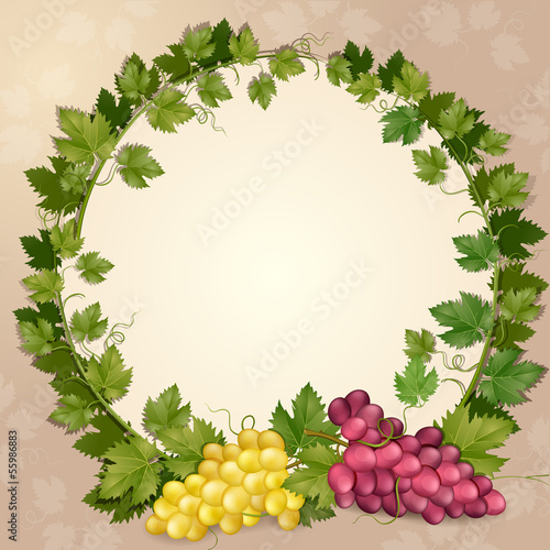 Illustration with grapes and vine