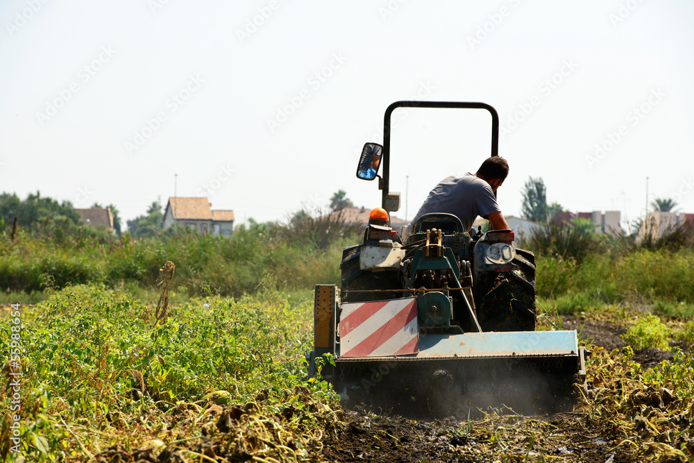 Obraz premium Tractor Labrando Un Huerto. Valencia. España