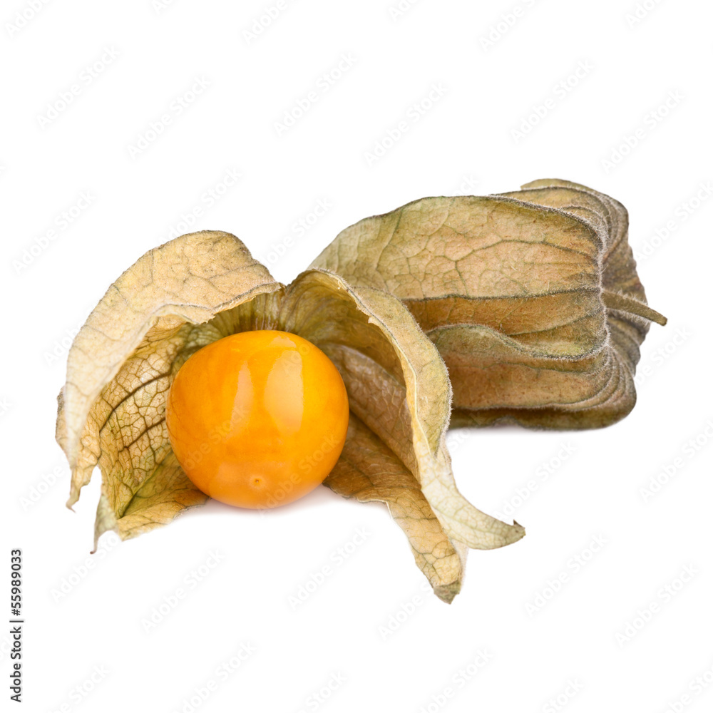 Ripe Physalis fruits Ripe Physalis fruits