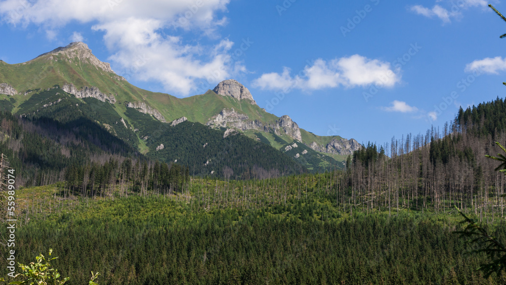 Javorova Valley in Tatry Mountains in Slovakia