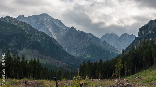Javorova Valley in Tatry Mountains in Slovakia © Wolszczak