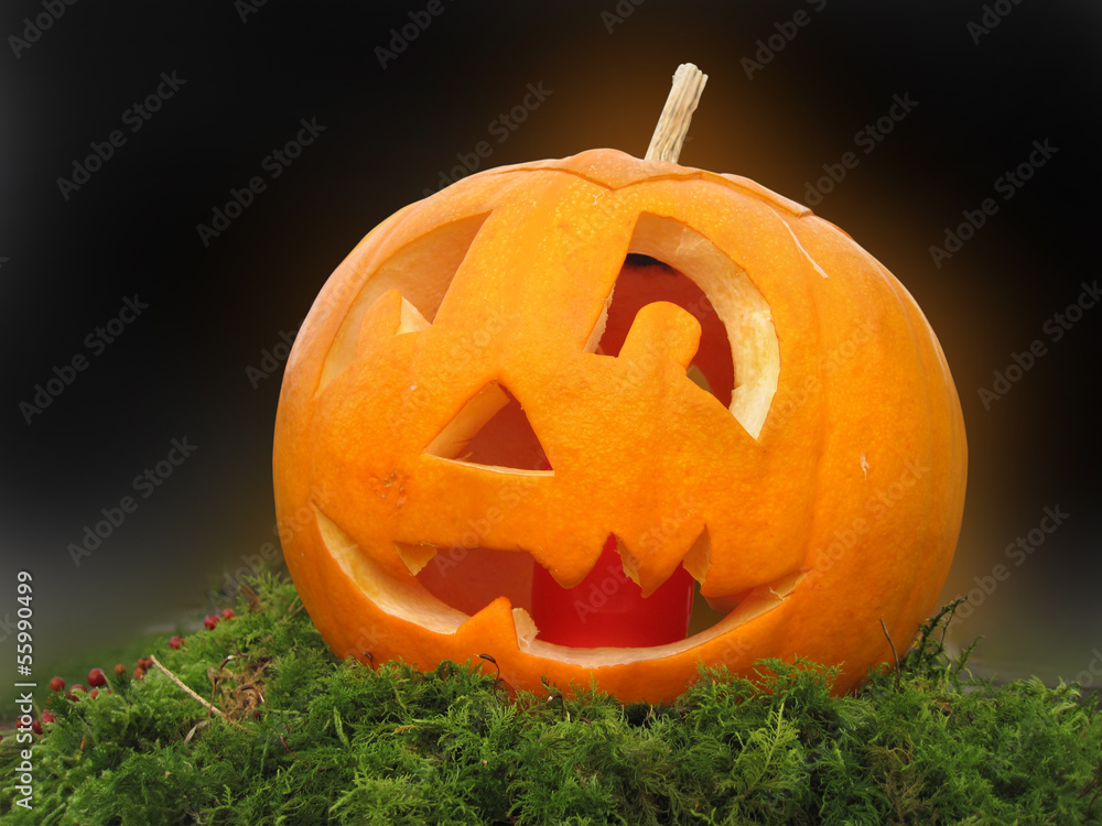 Obraz premium Pumpkin on the black background, isolated by using clipping path