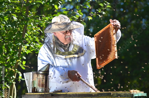 doświadczony pszczelarz pracujący w pasiece w okresie wiosennym #55991082