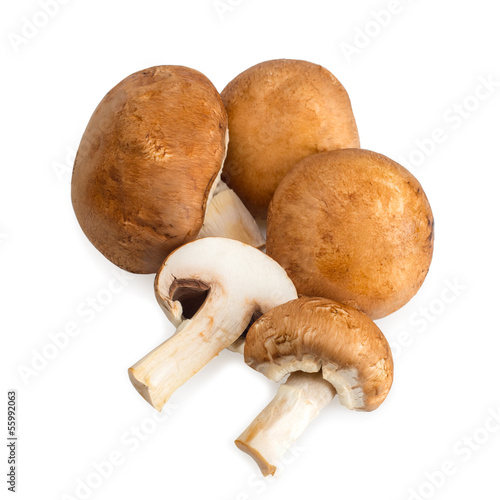 mushroom champignons isolated on white background