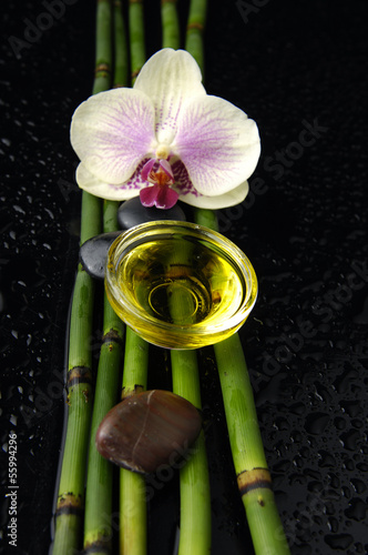 beautiful orchid and bamboo grove  zen stone  massage oil