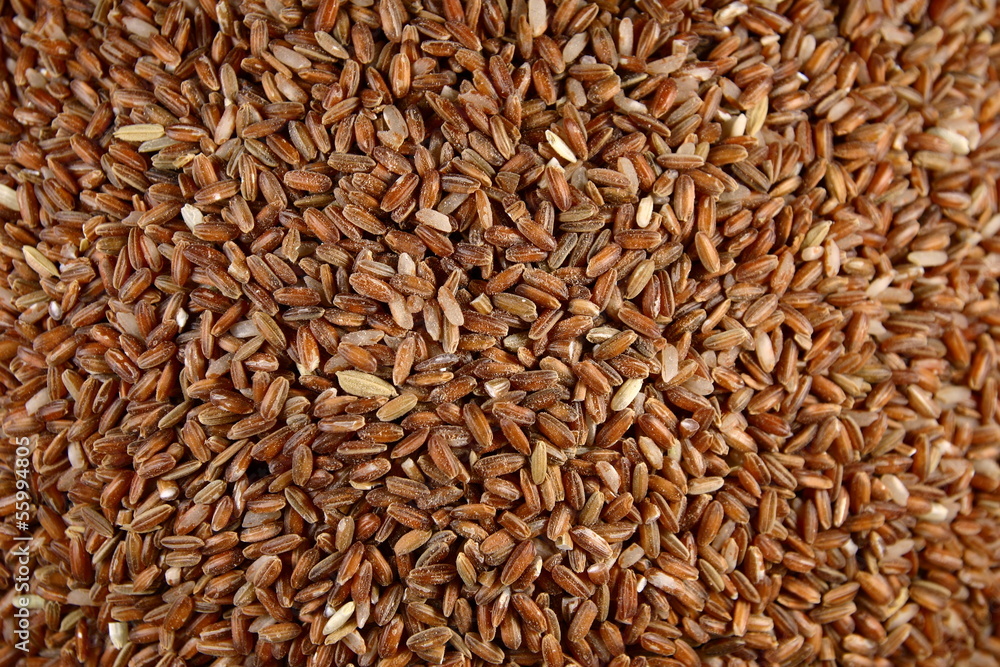 Brown Rice Brown Rice