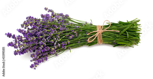 Fototapeta Naklejka Na Ścianę i Meble -  lavender