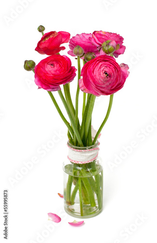 pink ranunculus in a glass vase