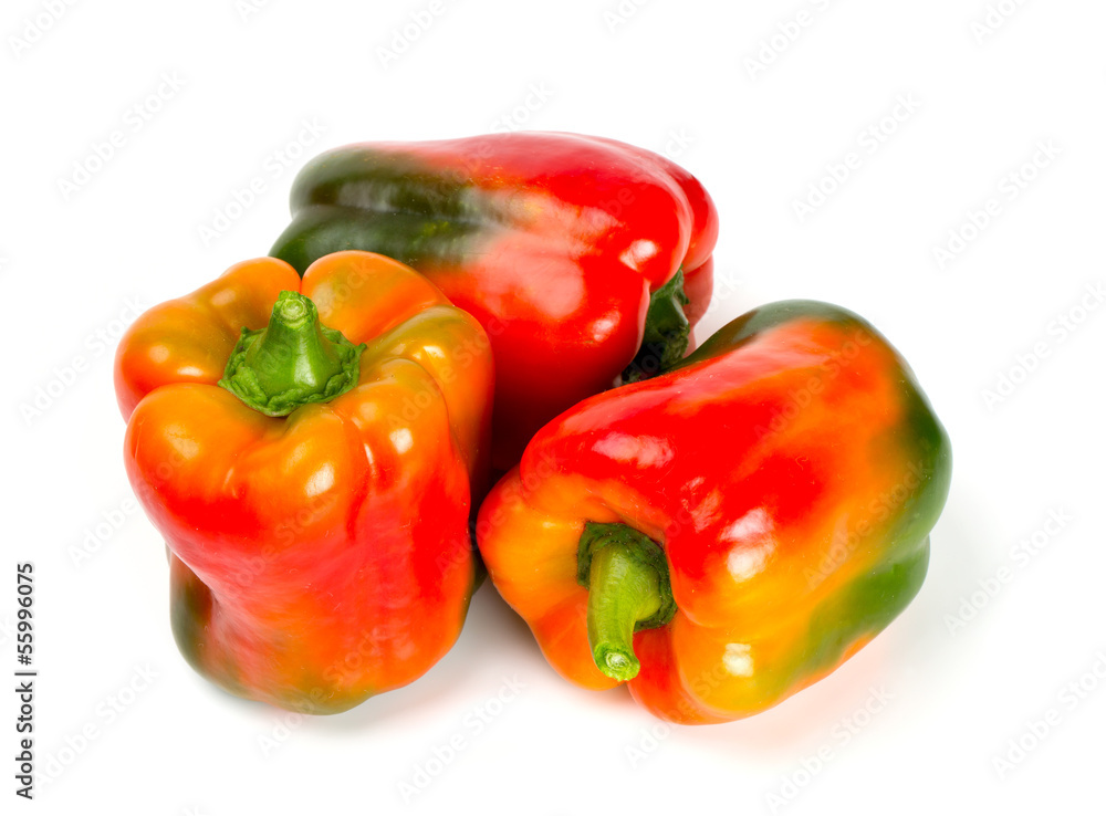 paprika isolated on white paprika isolated on white