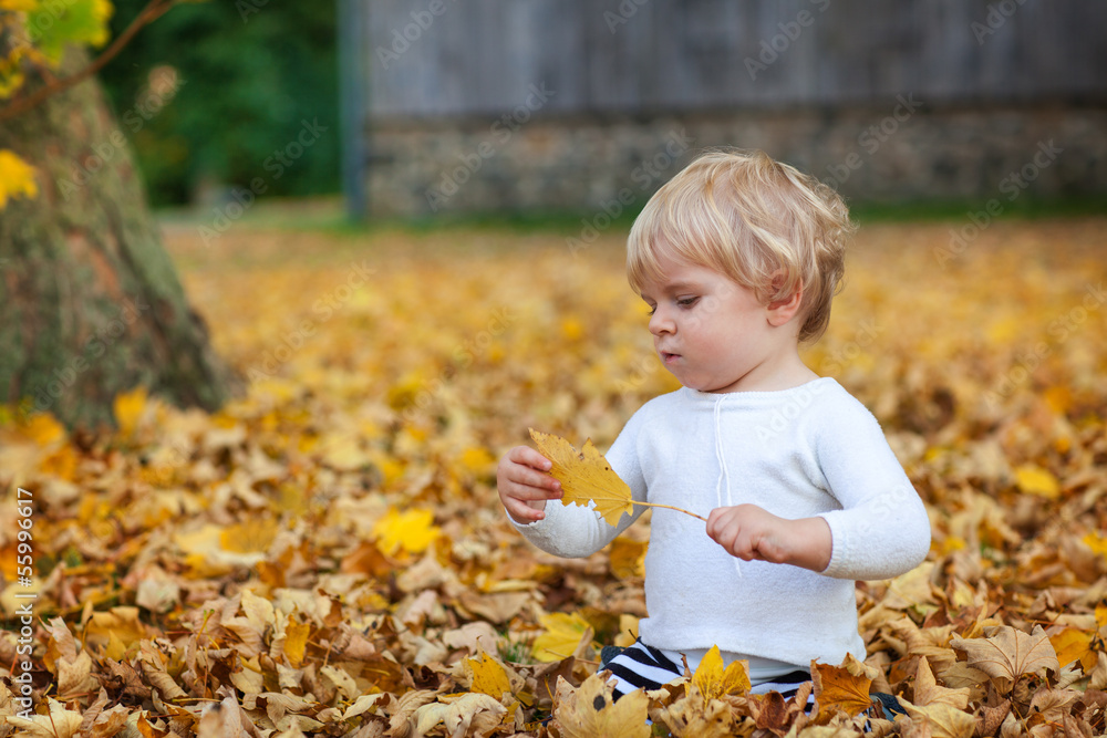Little toddler boy playing in autumn park Little toddler boy playing in autumn park