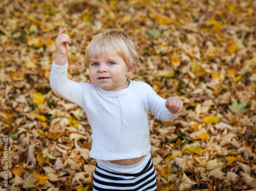 Little toddler boy playing in autumn park