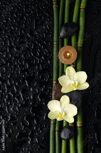 Spa still life on wet black background