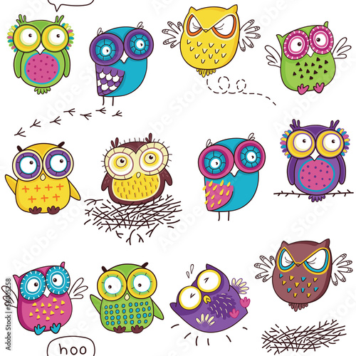 Seamless pattern with color owl in white background