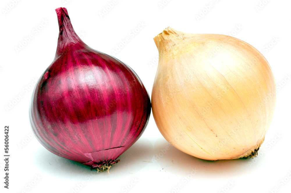 Obraz premium red and white onions