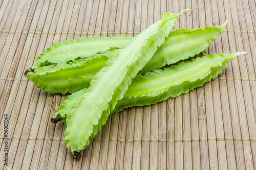 winged bean photo