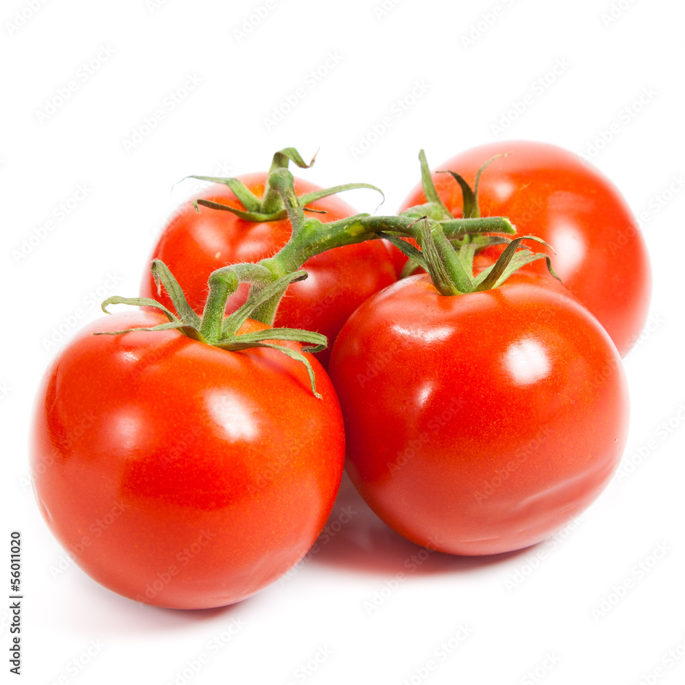 Closeup of tomatoes on the vine isolated on white. Tomato branch Closeup of tomatoes on the vine isolated on white. Tomato branch