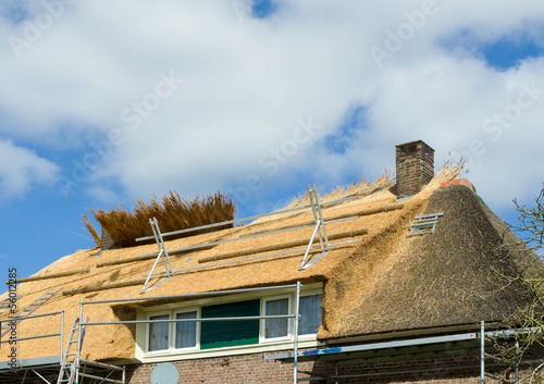 thatched roof